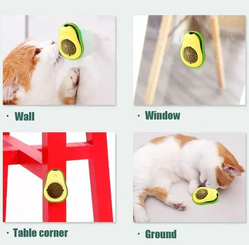 Cat nip Lick Ball Toy
