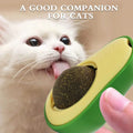 Cat nip Lick Ball Toy