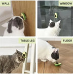 Cat nip Lick Ball Toy