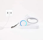 Dog Leash Retraction